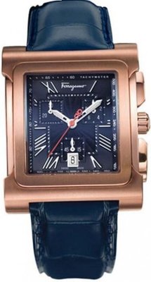 Salvatore Ferragamo palagio Fr58lcq6504s004