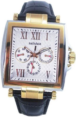 Sauvage Energy SV50700SG