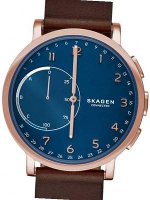 Skagen SKT1103