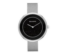 Skagen SKW1070