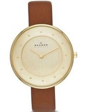 Skagen SKW2138