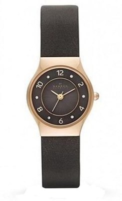 Skagen SKW2208