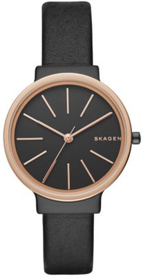 Skagen SKW2480