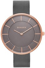 Skagen SKW2584