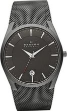 Skagen SKW6010