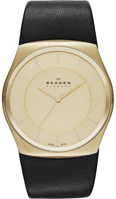 Skagen SKW6018