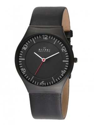 Skagen SKW6113