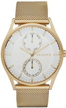 Skagen SKW6173