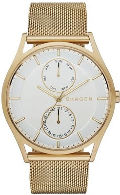Skagen SKW6173
