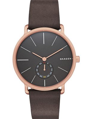 Skagen SKW6213