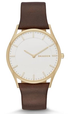 Skagen SKW6225