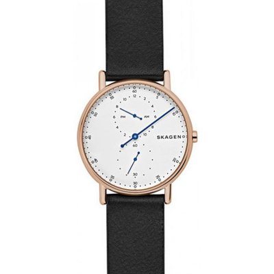 Skagen SKW6390