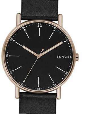 Skagen SKW6401