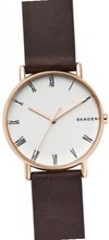 Skagen SKW6493