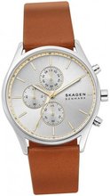 Skagen SKW6607