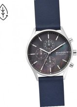 Skagen SKW6653