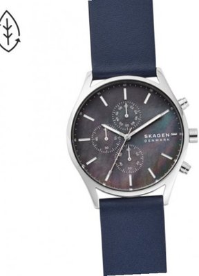 Skagen SKW6653