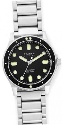 Skagen SKW6666
