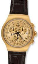 S Golden Hide Brown Chronograph - YOG402