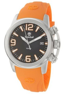 Timberland Fastpack Quartz QT7119901