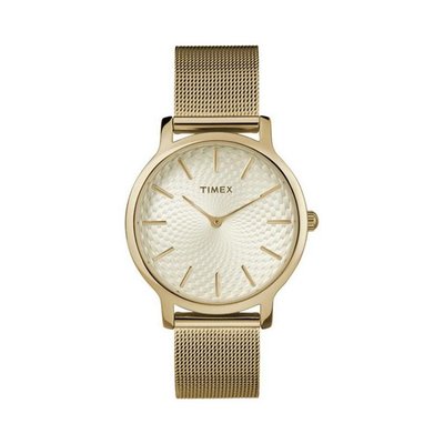 Timex Skyline Tx2r36100