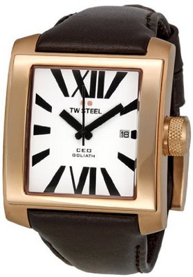 TW Steel CE3007 CEO Goliath White Dial