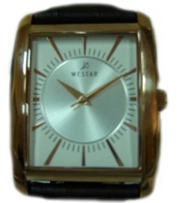 Westar Profile 5535PPN627