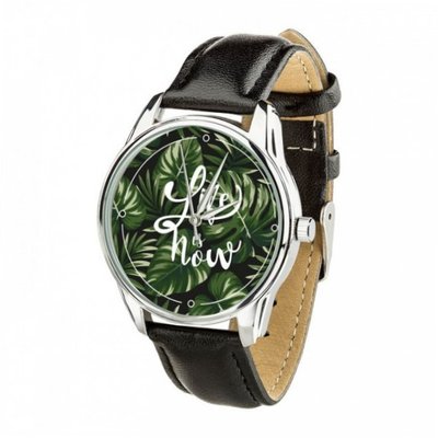 Ziz must have UA-142848